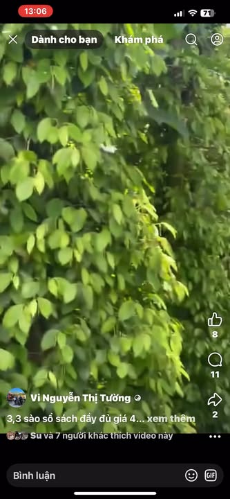 Đất nền Nâm N'Jang 11880m² giá 750 triệu - Sổ đỏ chính chủ, bớt lộc!