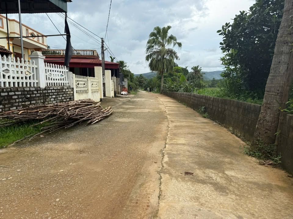 Đất thổ cư 156m² tại Mậu Lâm, Như Thanh - Giá thỏa thuận hấp dẫn!