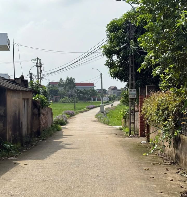 Đất nền TDP Quyết Chiến Lão Hộ, phường Tân An, 126m² - Giá thỏa thuận, nhanh tay kẻo lỡ!