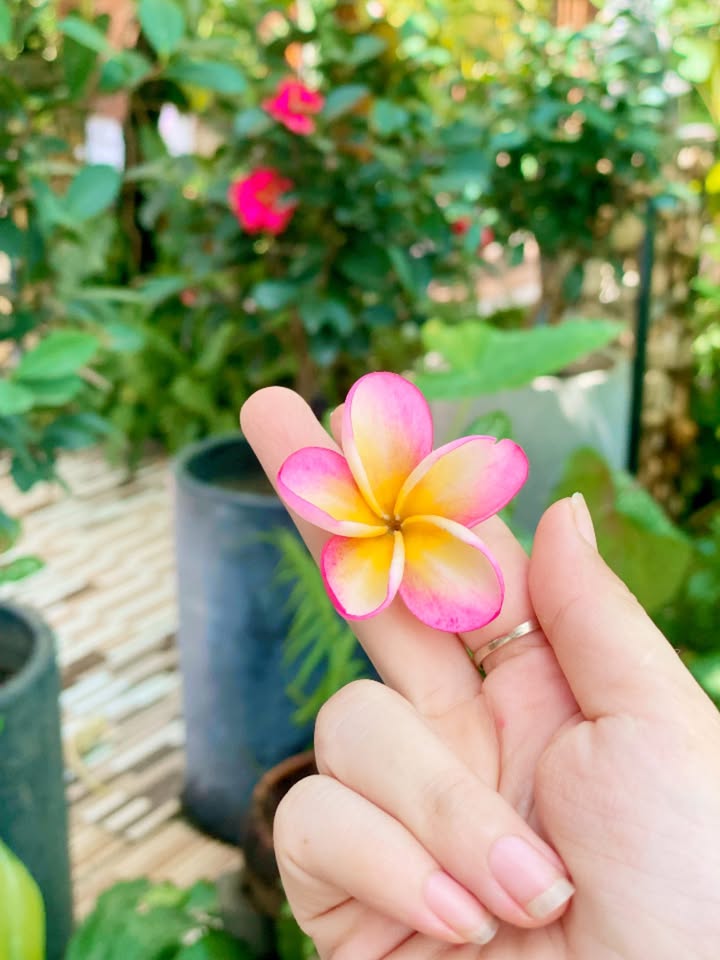 Nhà trọ mặt tiền Kiệt 85 An Dương Vương - 150m² giá 3.6 tỷ - Đầu tư sinh lời ngay!