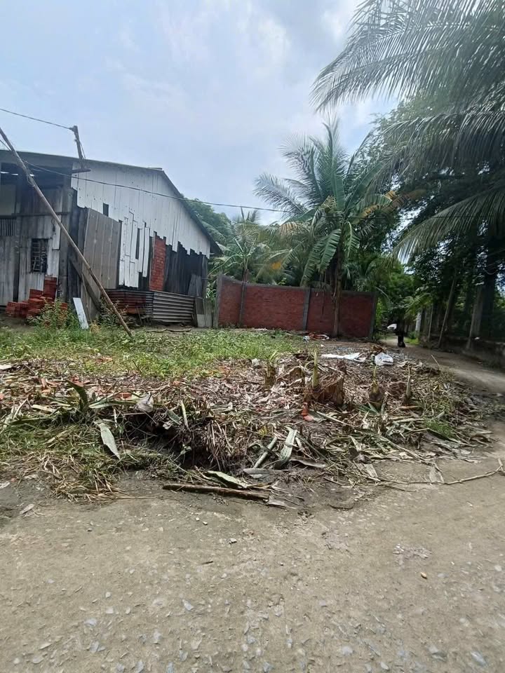 Đất nền đẹp phường Sơn Đông 96m² giá 480 triệu - Đầu tư sinh lời ngay!