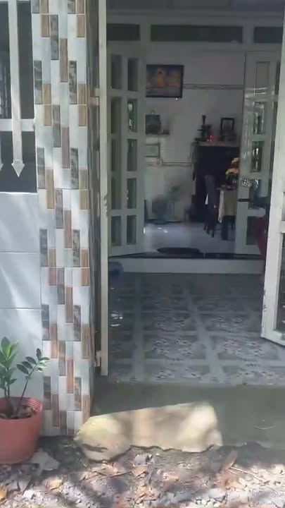 Nhà bán Sơn Phú Giồng Trôm 76m² giá 670 triệu - Sổ hồng đầy đủ, thổ cư 100%!