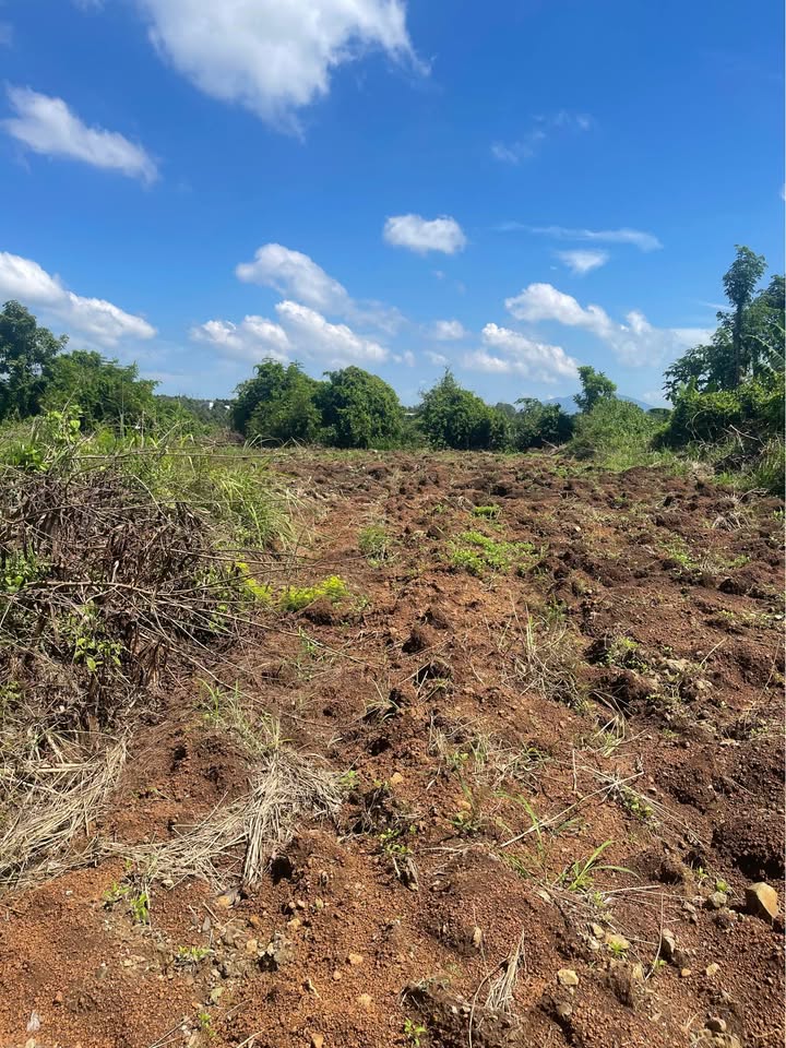 Đất nền 2 sào Xuân Tây Cẩm Mỹ - Thổ cư 100m², giá thỏa thuận!