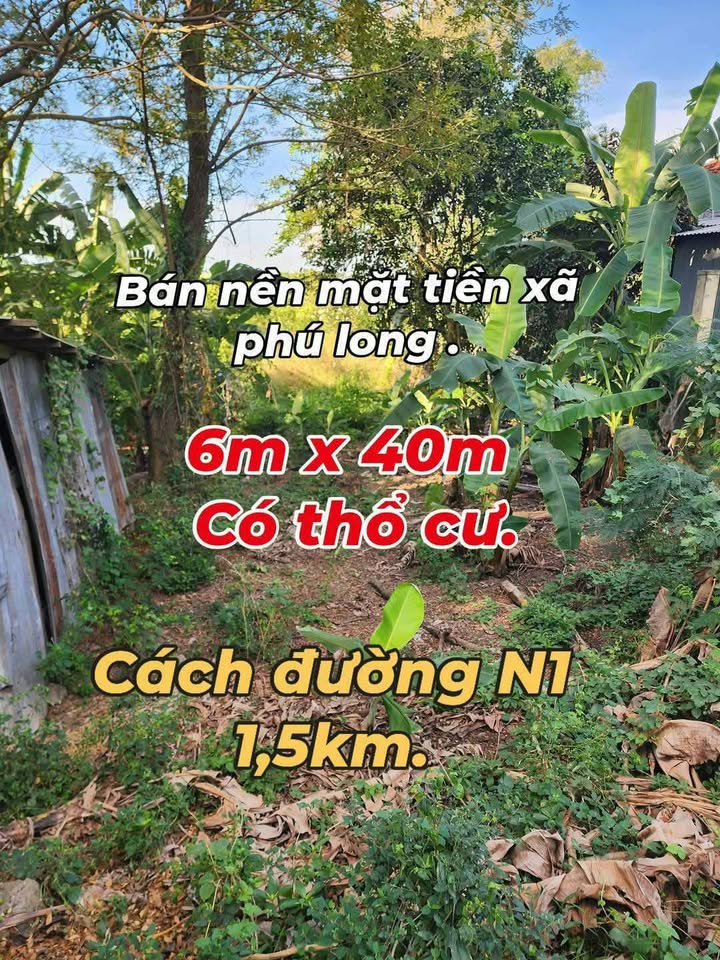 Đất nền Phú Long 240m² giá 400 triệu - Cơ hội đầu tư sinh lời!