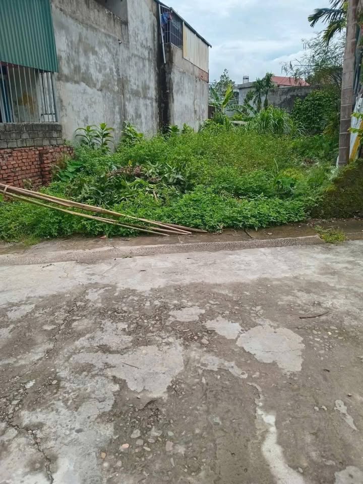 Đất thổ cư Hòa Bình 80m² - Giá tốt, thuận tiện xây nhà ở!