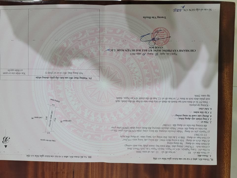 Đất nền xã Cao Ngọc, Ngọc Lặc 171m² - Chính chủ cần bán gấp!