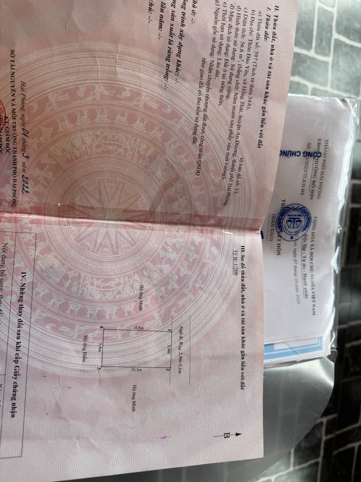 Đất nền Hồng Thái An Dương 56,6m² giá chỉ 800 triệu - Đầu tư sinh lời ngay!