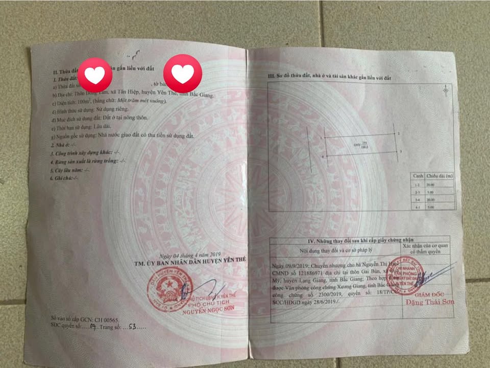 Đất đấu giá Tân Hiệp, Yên Thế, Bắc Giang 100m² - Cơ hội đầu tư hiếm có!