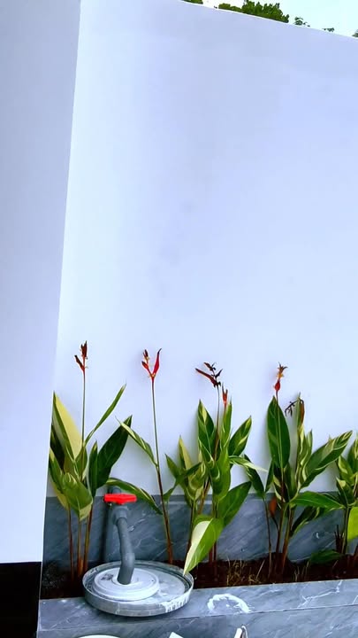 Nhà mới hoàn thiện Hẻm 39 Ngô Quyền, Tây Ninh 132m² giá 1.32 tỷ - Thiết kế hiện đại sang trọng!