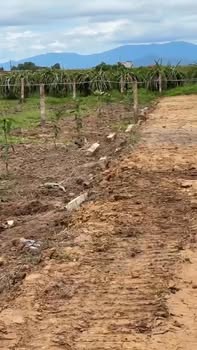 Đất thổ cư 1000m² tại Hàm Liêm, Bình Thuận giá 299 triệu - Cơ hội đầu tư hấp dẫn!