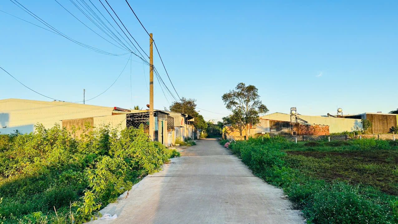 Đất làm nhà vườn tại hẻm 121 Lê Đại Hành, Gia Lai 1000m² - Giá chỉ 3.75 tỷ thương lượng!