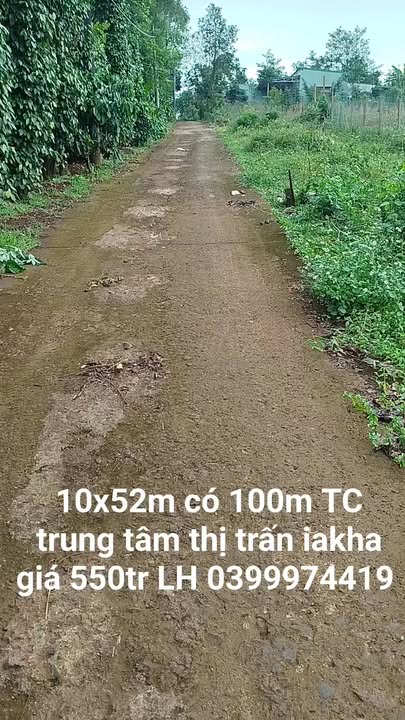 Đất nền đẹp 520m² tại trung tâm thị trấn Ia Khai, giá chỉ 550 triệu - Đầu tư sinh lời cao!