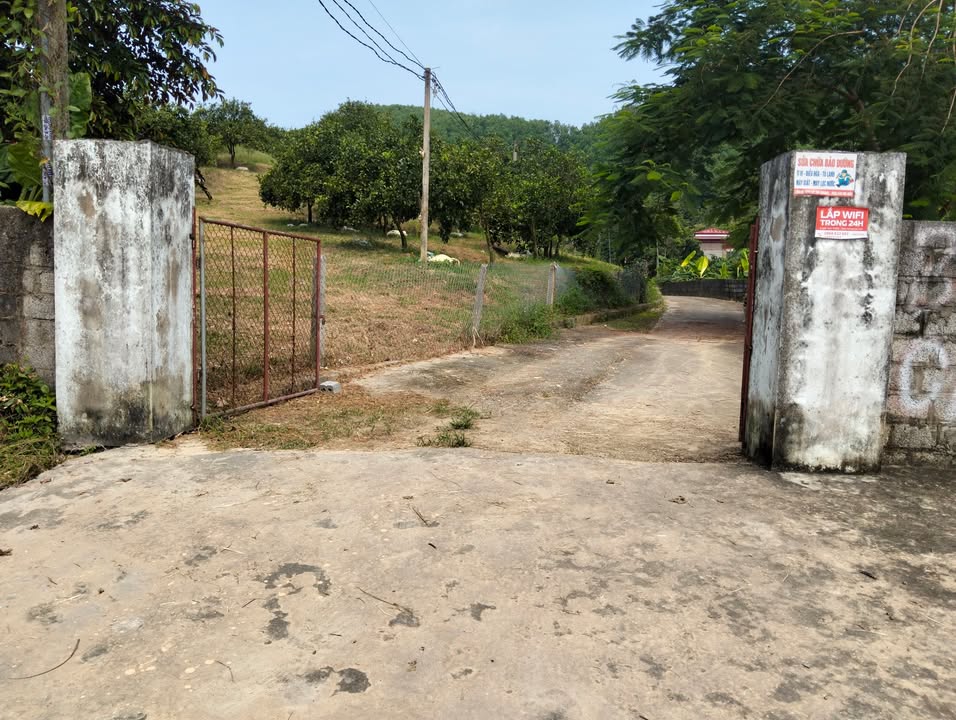 Đất nền Phú Thành, Lạc Thủy, 265m² giá chỉ 900 triệu - Cơ hội đầu tư hấp dẫn!