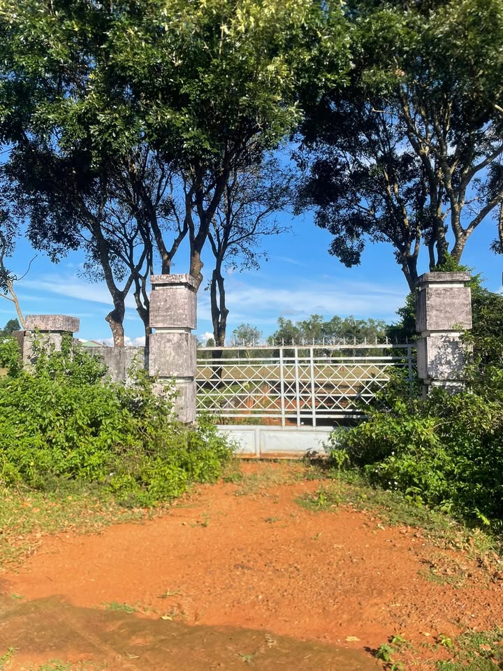 Đất nền đường QH số 8, Chư Prông, 187m² - Cơ hội đầu tư hấp dẫn!