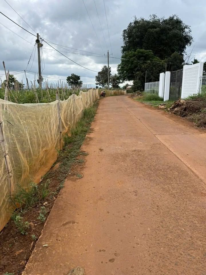 Đất nền Tân Hội 3600m² giá chỉ 820 triệu - Cơ hội đầu tư hấp dẫn!