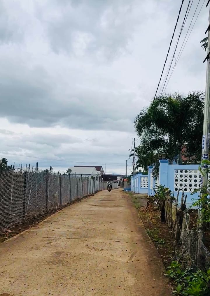 Đất nền 1,6 sào tại xã Tân Hội, Đức Trọng - Giá chỉ 1,3 tỷ VND!