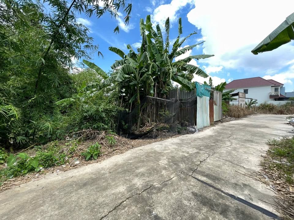 Đất cho thuê 240m² tại Hẻm 6 Trần Vĩnh Kiết, An Bình - Giá 3 triệu/tháng