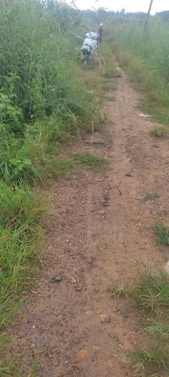 Đất trồng cây Ea M'Droh 10.000m² giá 7 tỷ - Pháp lý rõ ràng, không tranh chấp!