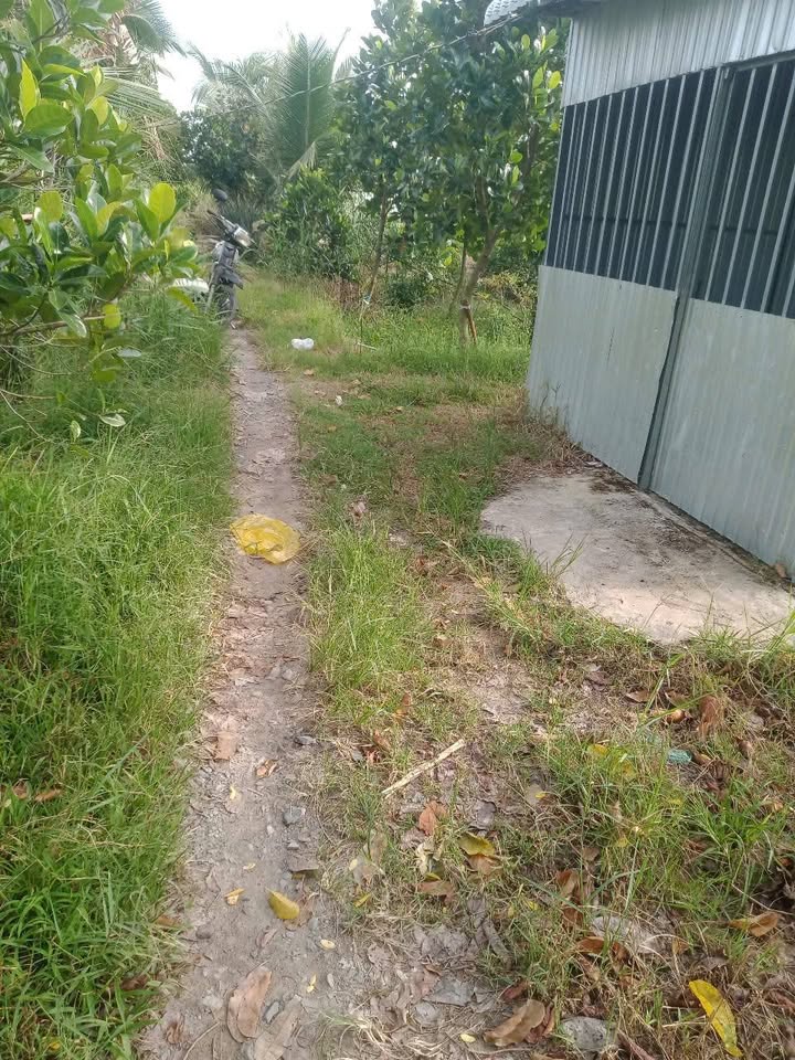 Đất vườn mít Thái 47000m² xã Bình Hàng Tây - Cơ hội đầu tư hấp dẫn!