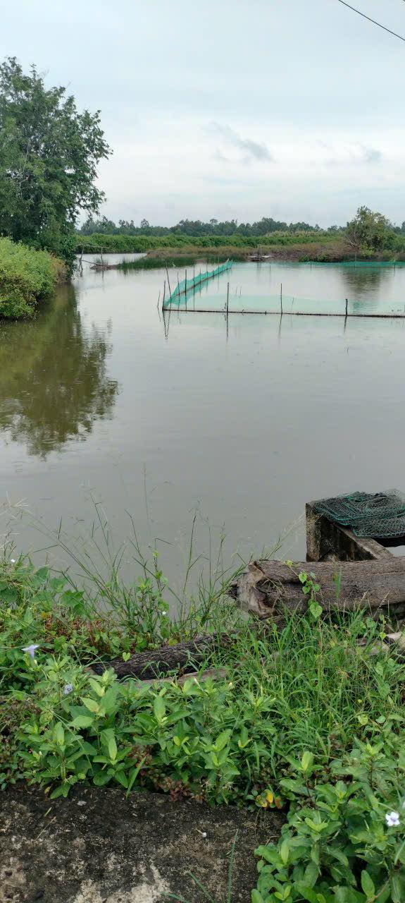 Đất nền 21 công Tạ An Khương giá 2.205 tỷ - Đầu tư sinh lời tuyệt vời!