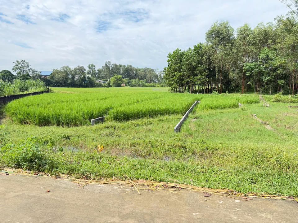 Đất thổ cư Tân Hương Phổ Yên 80m² giá chỉ 550 triệu - Cơ hội đầu tư tuyệt vời!