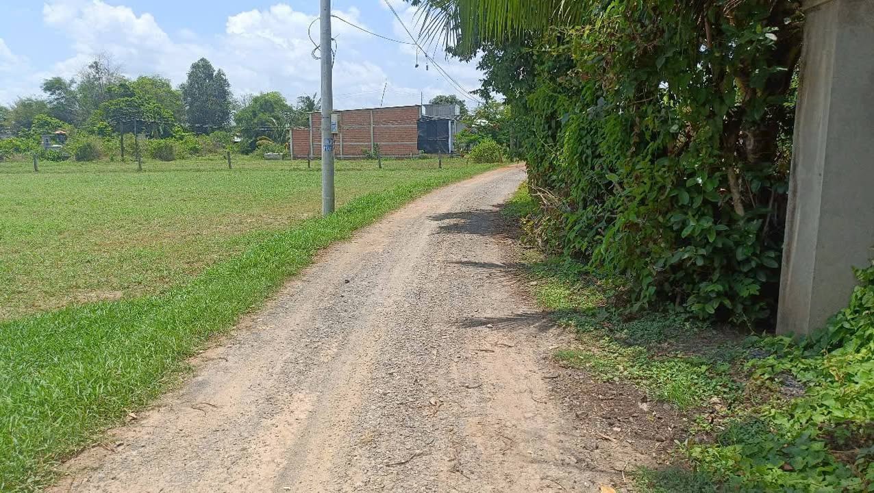 Đất nền Tân Mỹ Đức Hòa 840m² giá 3.3 tỷ - Sổ hồng riêng, mặt tiền ô tô