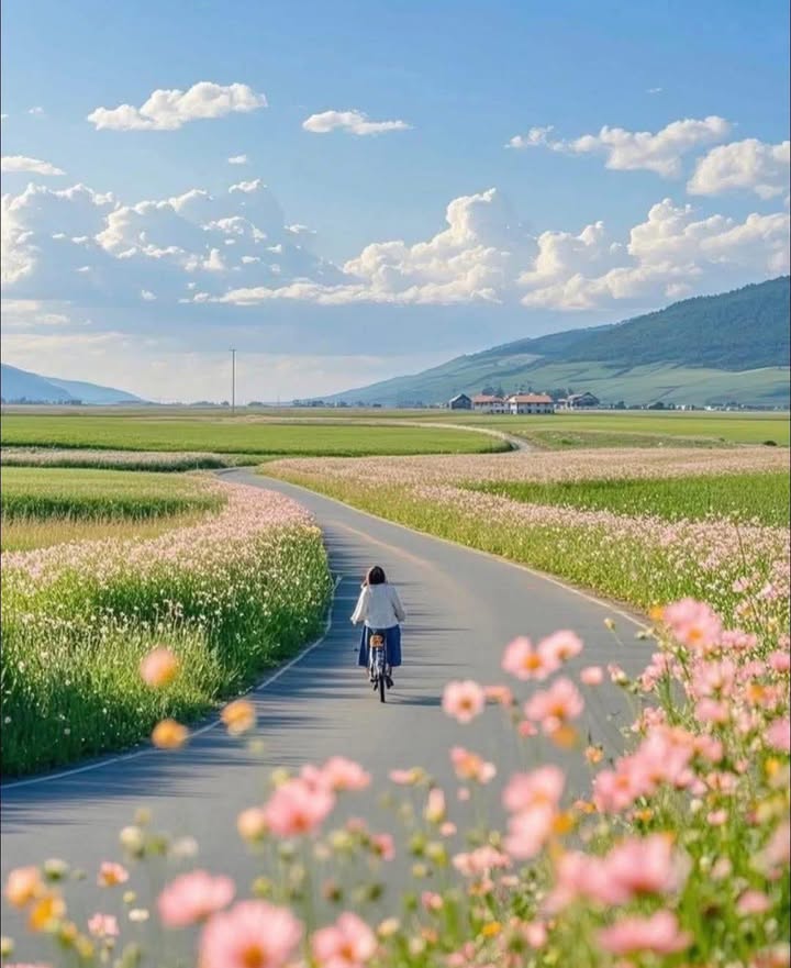 Nhà 2 tầng đường Châu Thị Vĩnh Tế 56m² giá 5.1 tỷ - Cách biển Mỹ Khê 500m!