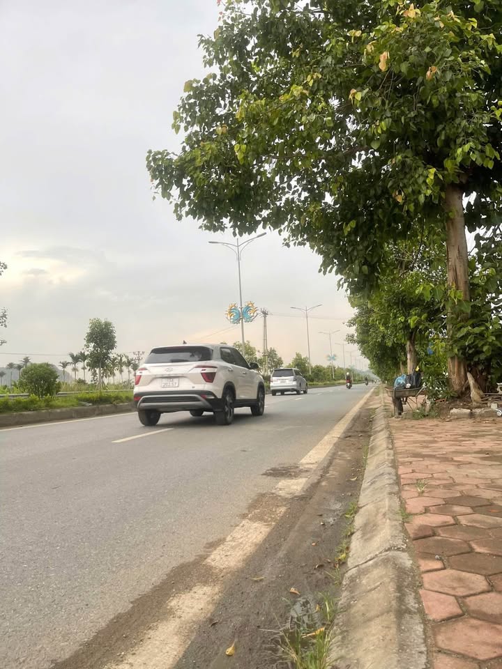 Bán nhà đất tại Bạch Đằng, Thủy Nguyên 130m² giá 2 tỷ - Vị trí đắc địa cho đầu tư!