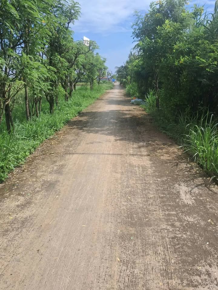 Đất nền 2685m² phường Long Hưng, Gò Công chỉ 900 triệu - Cơ hội đầu tư hấp dẫn!