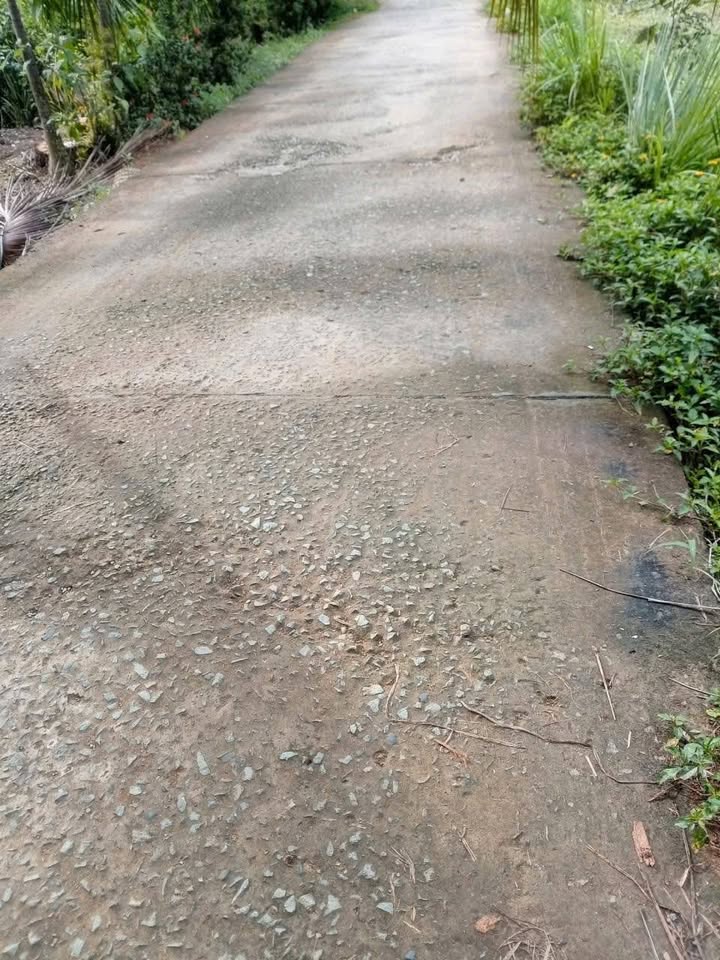 Đất nền Mỏ Cày Nam - 2000m² giá 950 triệu - Tiềm năng đầu tư sinh lời!