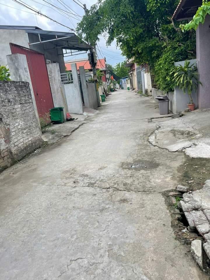 Đất nền Thư Phú Thường Tín 56.5m² giá 1.23 tỷ - Đầu tư sinh lời hiệu quả!