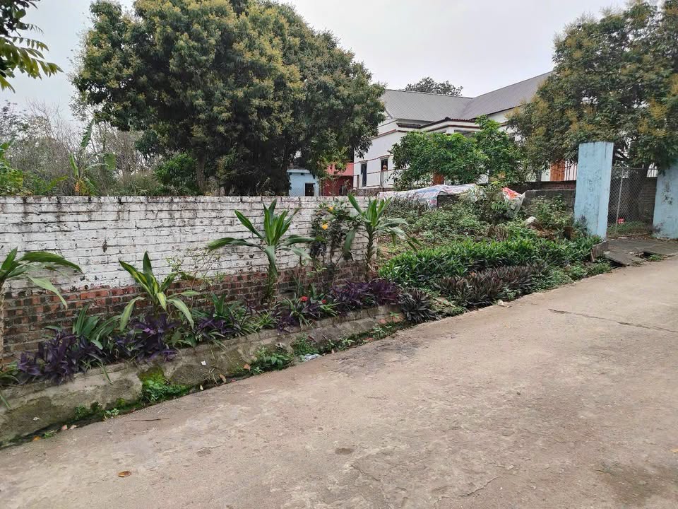 Đất nền Kim Long 150m² giá chỉ 1.2 tỷ - Cơ hội vàng đầu tư!