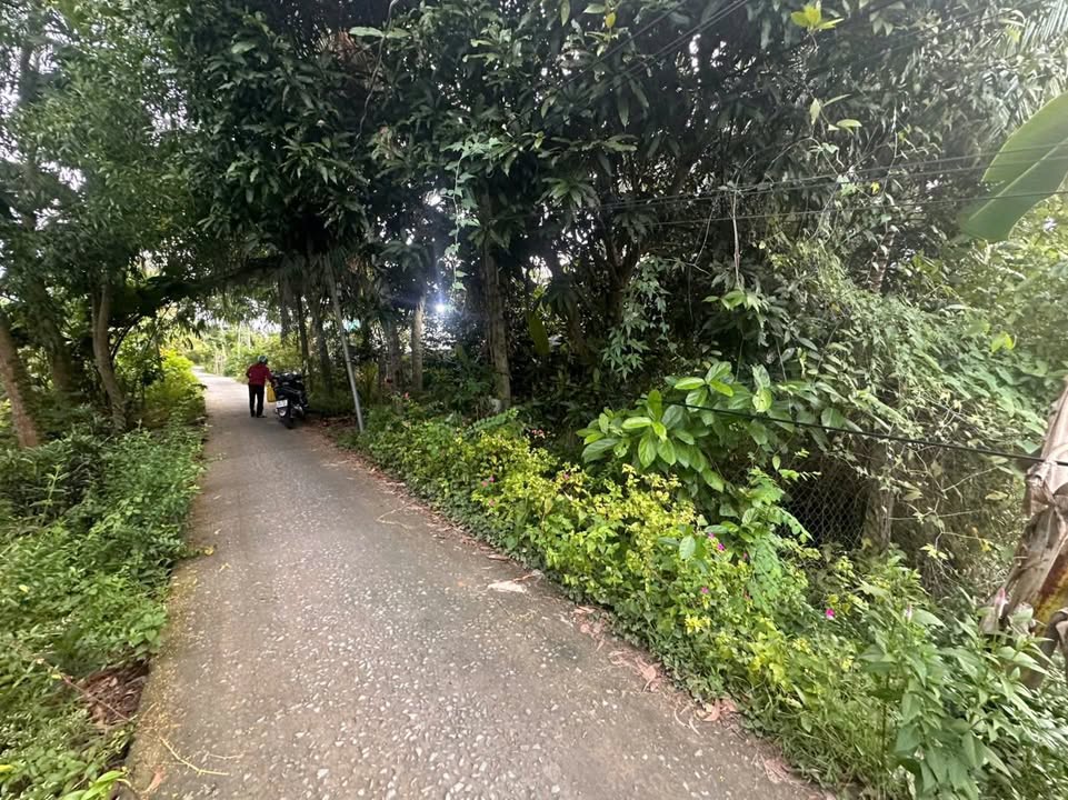 Đất vườn 5000m² xã Long Hồ, Vĩnh Long chỉ 1 tỷ - Cơ hội đầu tư tuyệt vời!