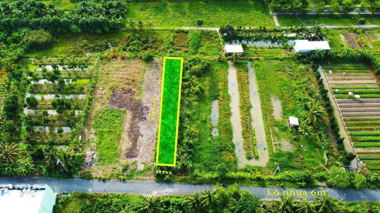 Đất nền khu phố 5, phường 2, Vĩnh Long 403m² giá chỉ 3 tỷ - Sổ đỏ sang tên ngay!