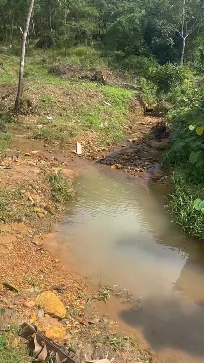 Đất nghỉ dưỡng Tân Minh Phú Thọ 12.000m² giá thỏa thuận - Cơ hội đầu tư tuyệt vời!