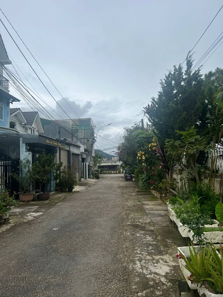 Nhà phố đường Ngô Tất Tố, Đà Lạt 91.2m² giá 6.7 tỷ - Vị trí tuyệt đẹp, thương lượng chính chủ!