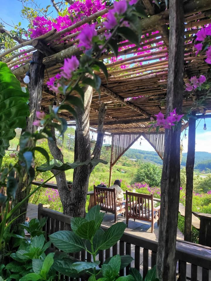 Cho thuê homestay nhà gỗ Khe Sanh Đà Lạt - Không gian thiên nhiên lý tưởng!