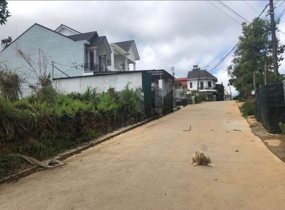 Đất nền Nam Hồ Đà Lạt 250m² giá 6.7 tỷ - Đầu tư sinh lời tuyệt vời!