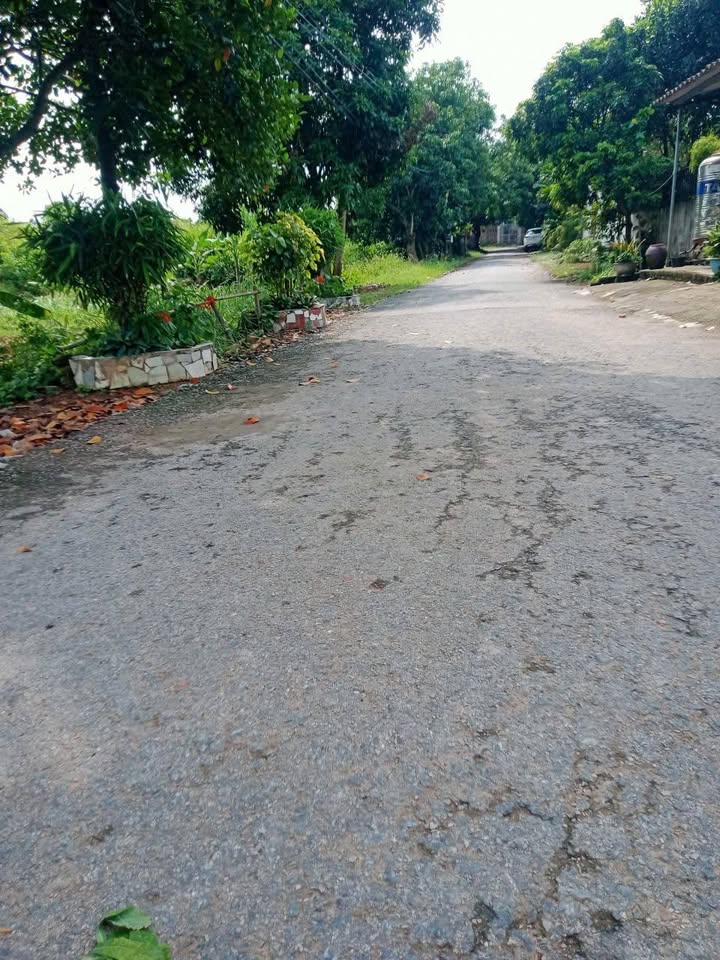 Biệt thự Hưng Đạo Chí Linh 260m² giá 1 tỷ - Đầu tư sinh lời tuyệt vời!