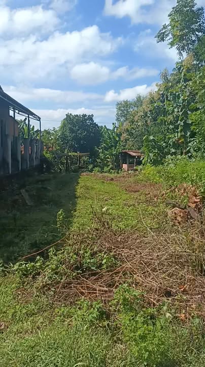 Lô đất đẹp 378m² tại Cư K'Bang, Ea Súp giá chỉ 199 triệu - Sổ đỏ chính chủ!