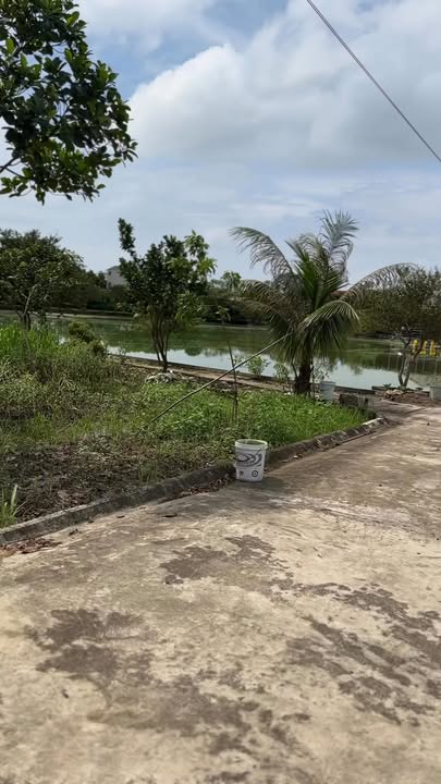 Trang trại cao cấp 11.000m² tại xã Yên Khánh, huyện Ý Yên - Cơ hội sở hữu tuyệt vời!