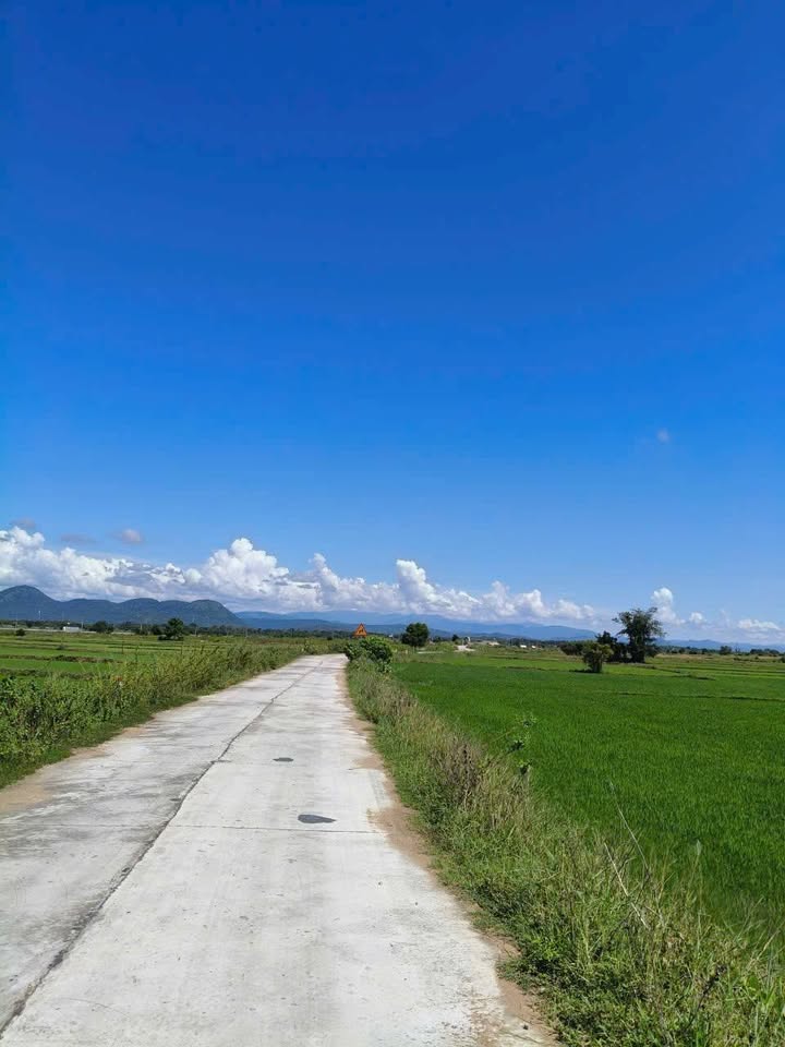 Đất Nền 1 Sào 1 Tại Mặt Kênh Nguyễn Văn Trỗi - Giá 900 triệu - Đầu Tư Sinh Lời!