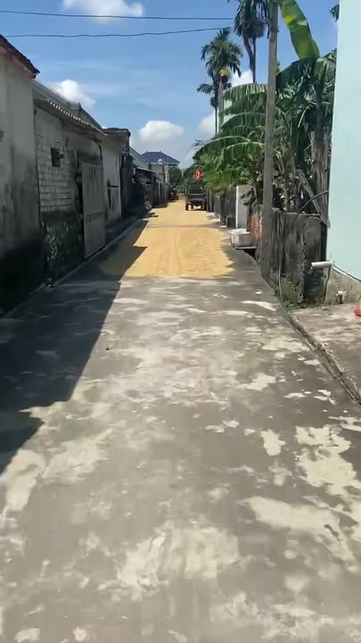 Đất nền Xóm 5 Diễn Đồng 153m² giá chỉ 100 triệu - Cơ hội đầu tư vàng!