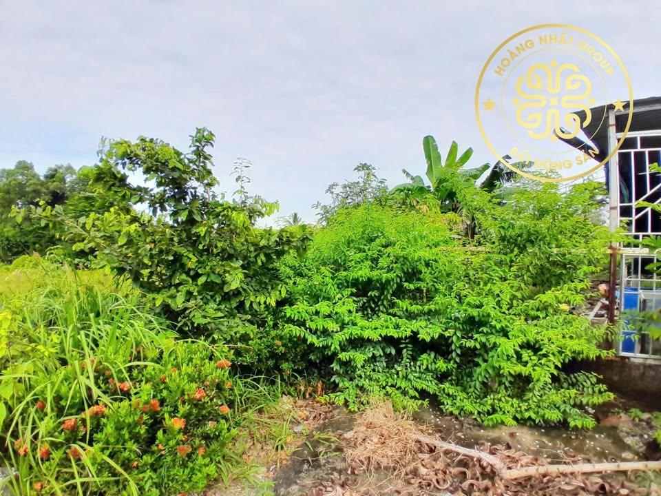 Đất nền 2 mặt tiền đường Nguyễn Văn Lăng, 95m² giá 550 triệu - Cơ hội đầu tư hấp dẫn!