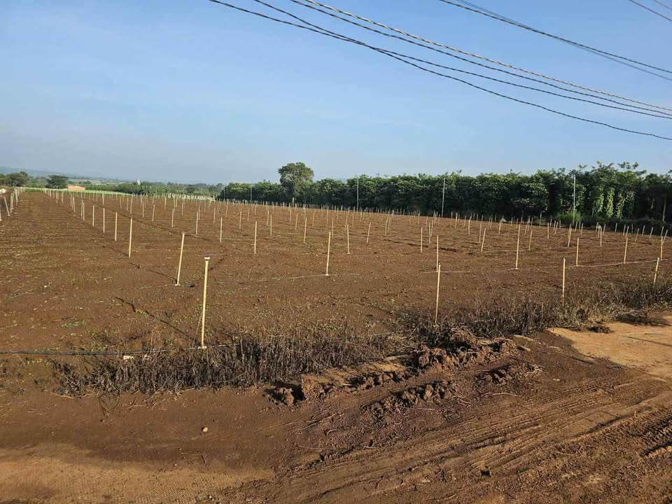 Đất nền Phú Hội, Đức Trọng 8500m² giá 900 triệu - Sổ đỏ chính chủ, thương lượng tốt!