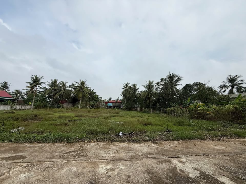 Đất thổ cư Tế Nông 200m² giá 400 triệu - Cơ hội đầu tư hấp dẫn!