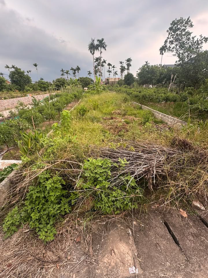 Bán lô đất mặt đường trục xã Quyết Tiến 114m² giá 1.4 tỷ - Cơ hội đầu tư tuyệt vời!