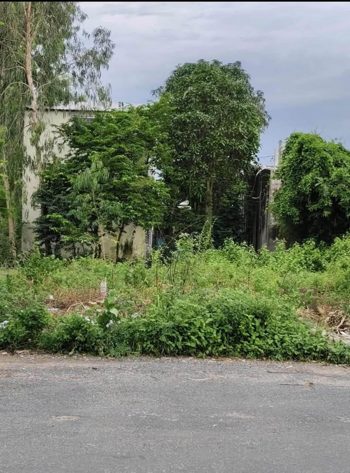 Đất nền Châu Đốc 81m² giá 1 tỷ - Cơ hội đầu tư sinh lời!