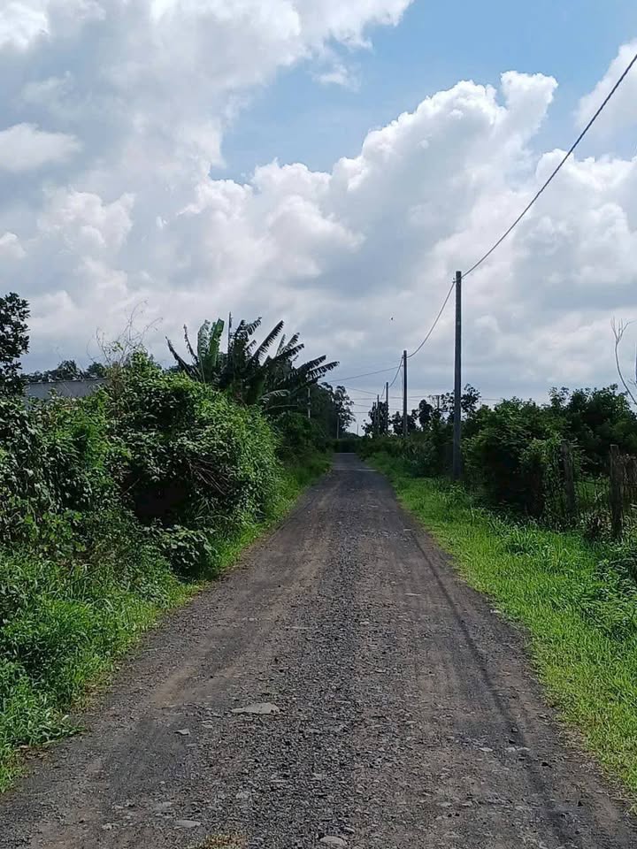 Đất nền Hồ Tràm 8000m² giá 16 tỷ - Tiềm năng phát triển mạnh mẽ!