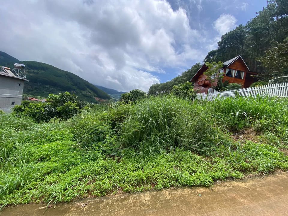 Đất nền Đà Lạt 359m² giá 1.75 tỷ - View đồi thông thoáng, đầu tư lý tưởng!